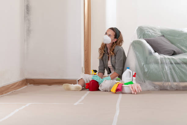 Reliable Mold Remediation contractor in Cary, NC by Cheap Mold Removal